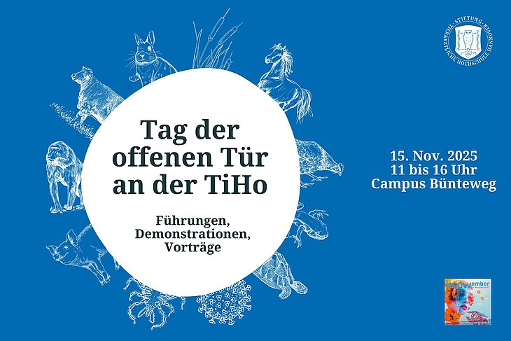 Grafik für den Tag der offenen Tür der TiHo am 15. November 2025 von 11 bis 16 Uhr