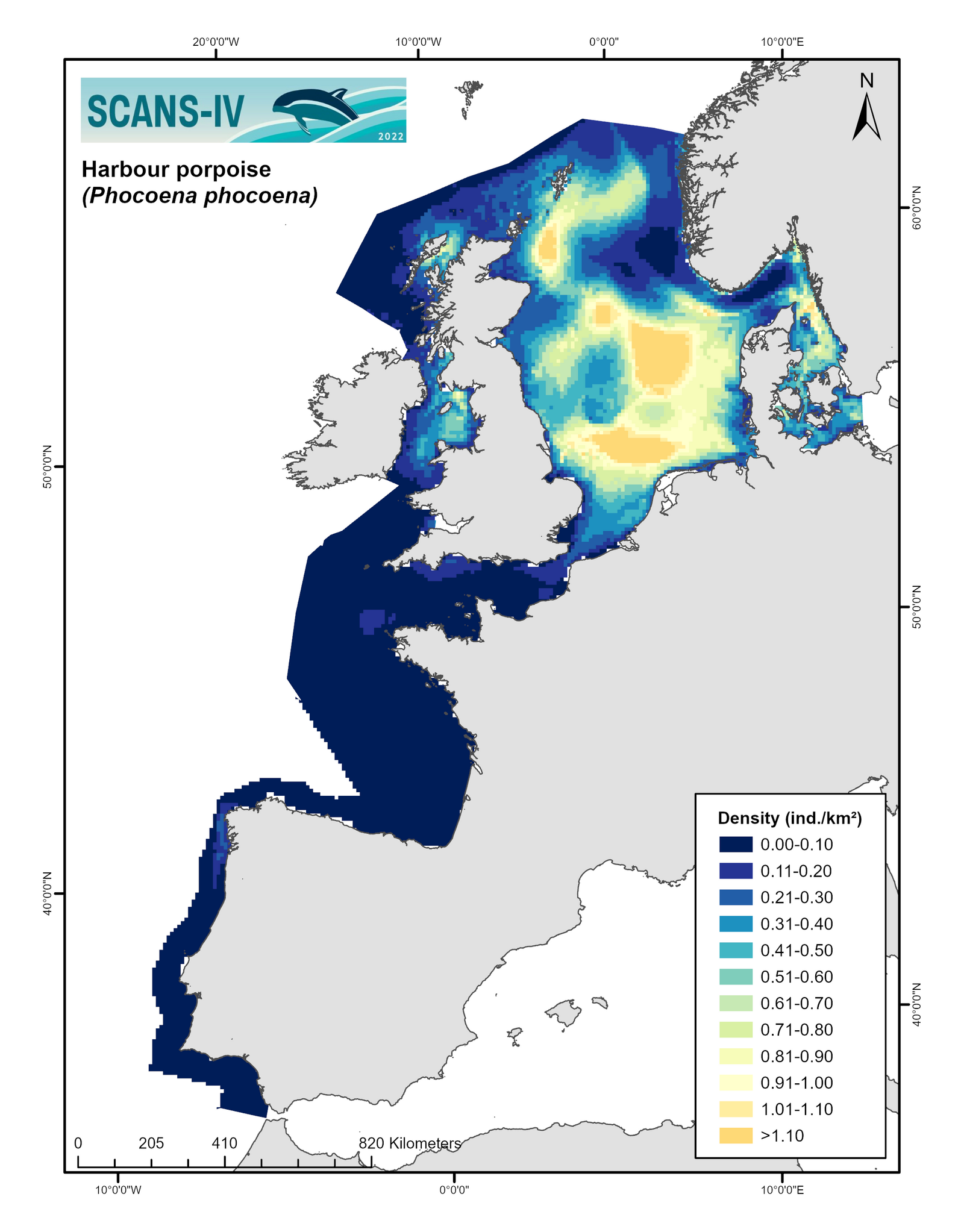 Modelled distribution map Harbour porpoise