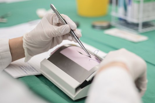 Üben von Einzelheften im Clinical Skills Lab