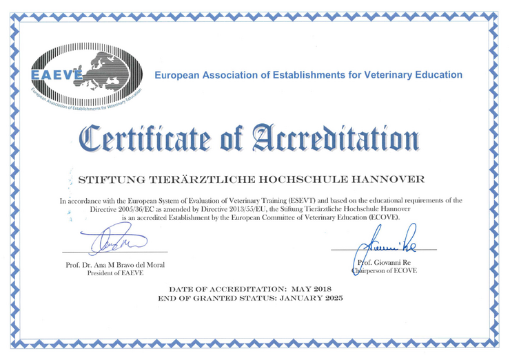 EAEVE Certificate