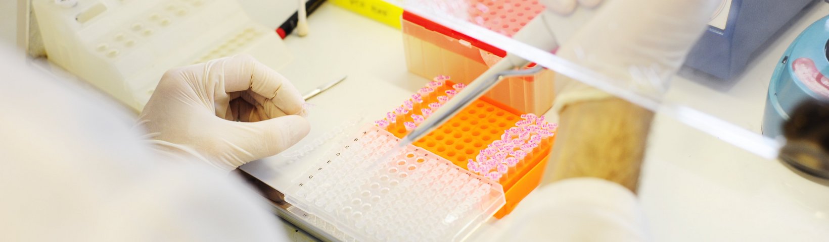 Pipettierarbeit unter der Werkbank