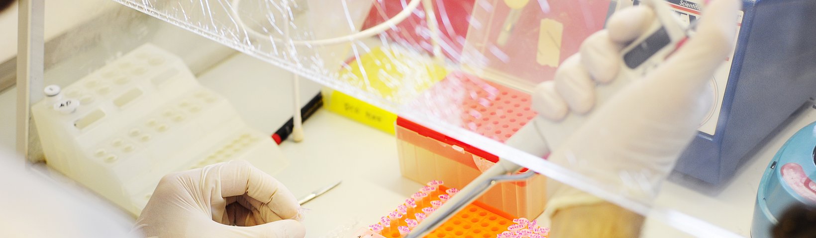 Pipettieren hinter der Glasscheibe 