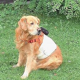 Retriever mit Messgerät