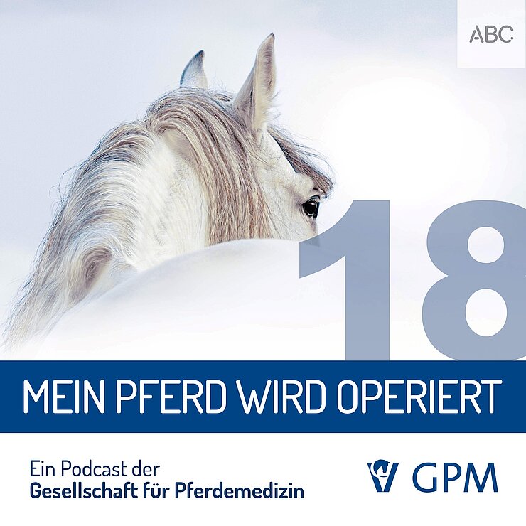 Grafik für den Podcast Pferdemedizin heute zum Thema Operationen