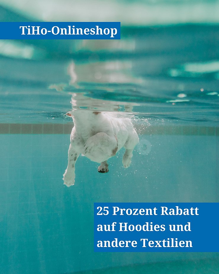 Ein Hund im Pool.