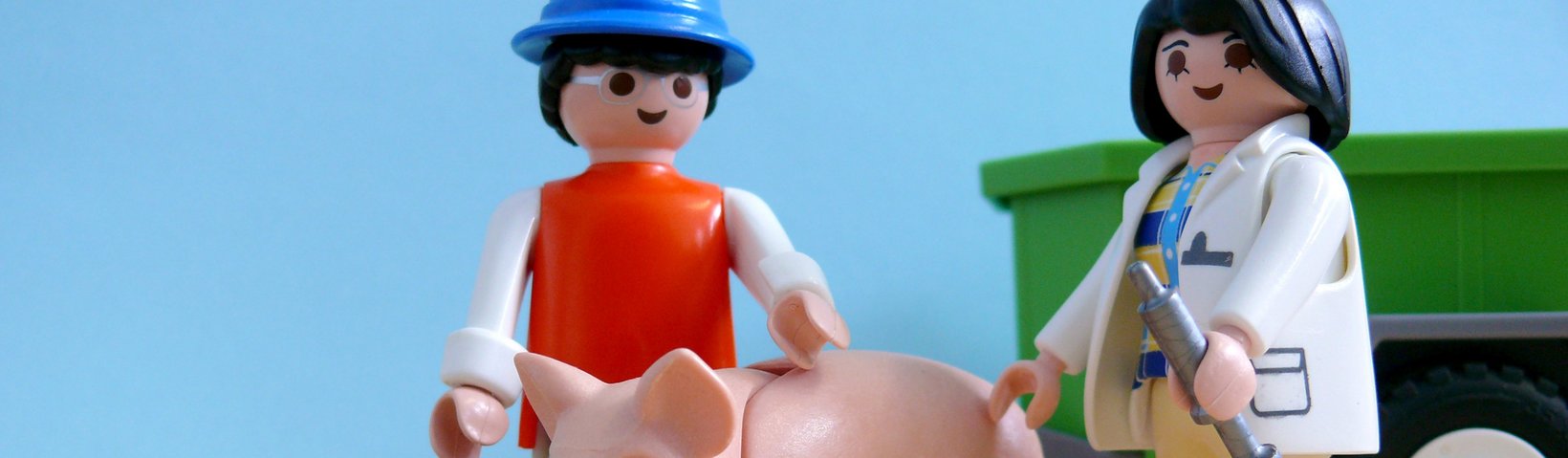 Playmobilfiguren Tierärztin Schwein