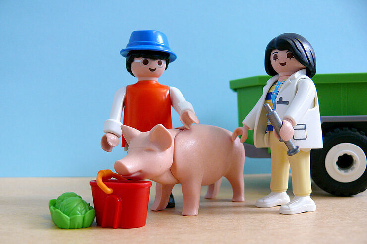 Playmobilfiguren Tierärztin Schwein