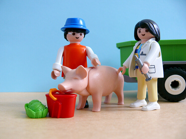 Playmobilfiguren Tierärztin Schwein