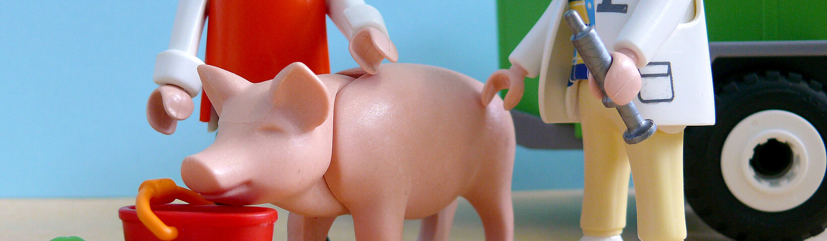 Playmobilfiguren Tierärztin Schwein 