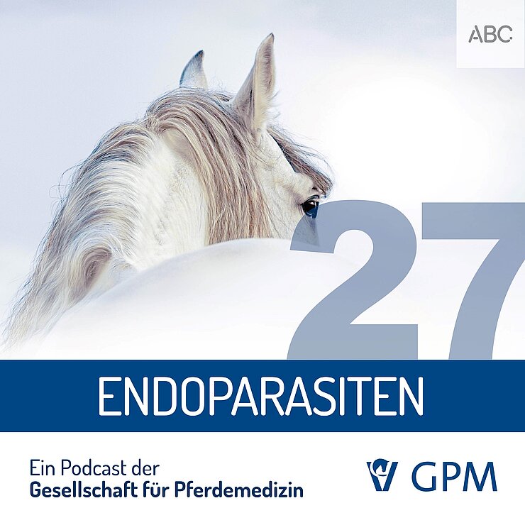 Grafik für den Podcast Pferdemedizin heute