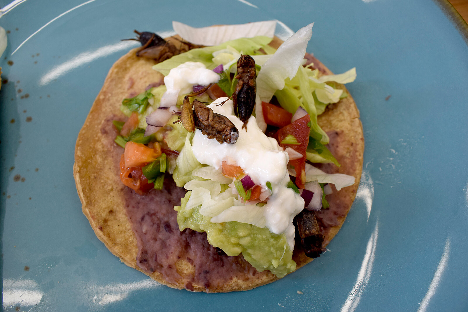 Zubereitete Tacos mit Grillen