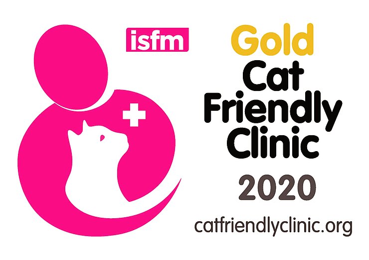 Logo Cat Friendly Clinic Gold