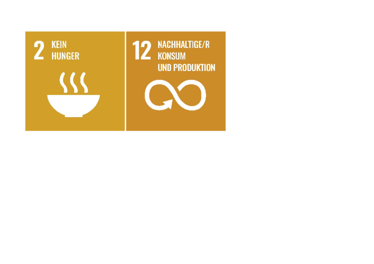 SDG Icons 2,12