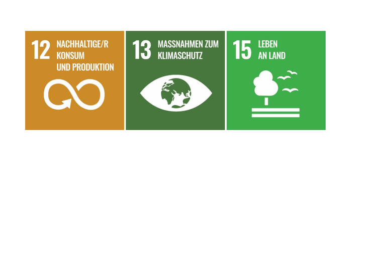 SDG 12,13,15