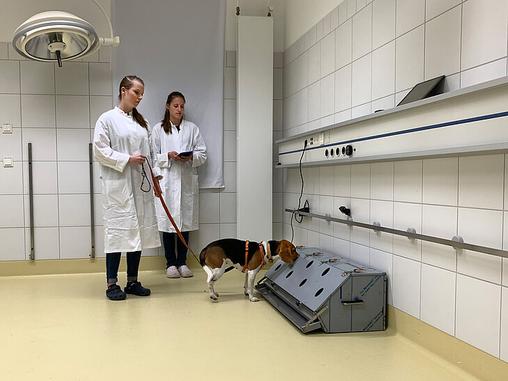 Beagle-Apparatur