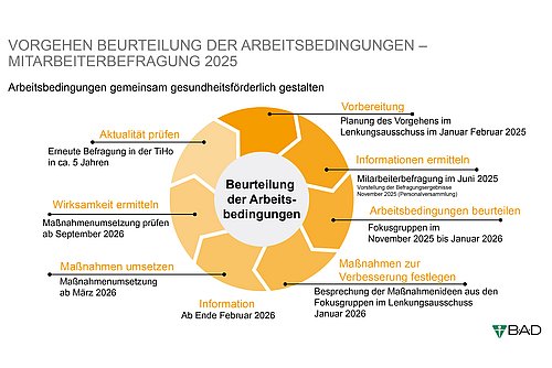 Zeitplan der geplanten Befragung der Beschäftigten