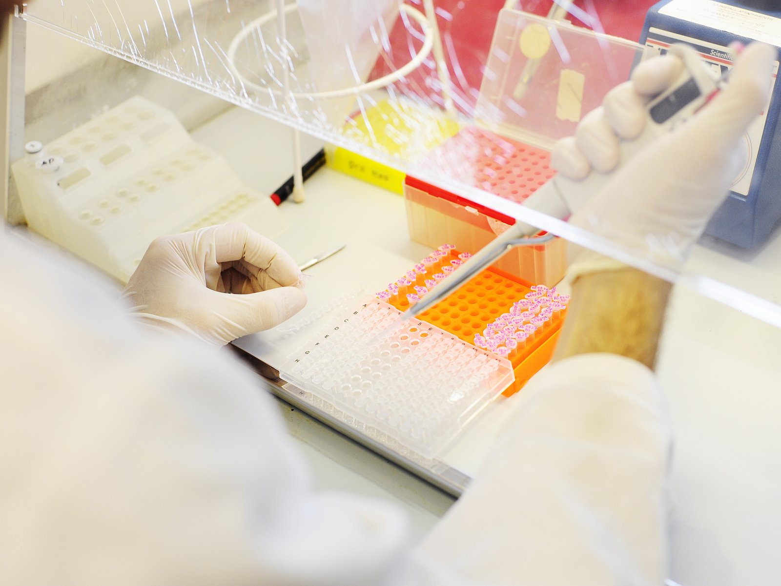 Untersuchung für die Doktorarbeit. Aufgenommen in der Abteilung Fischkrankheiten und Fischhaltung