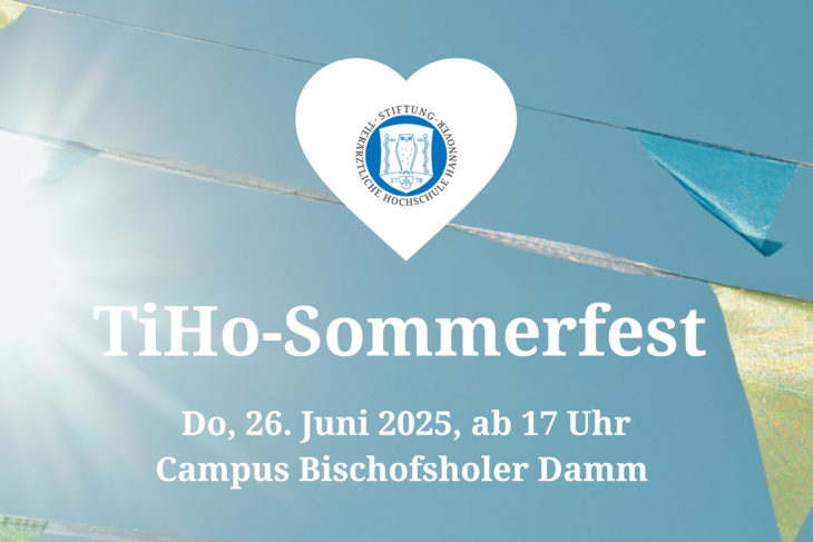 Sommerfest-Plakat 2025