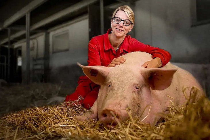 Professorin Dr. Nicole Kemper mit Schwein im Stall.