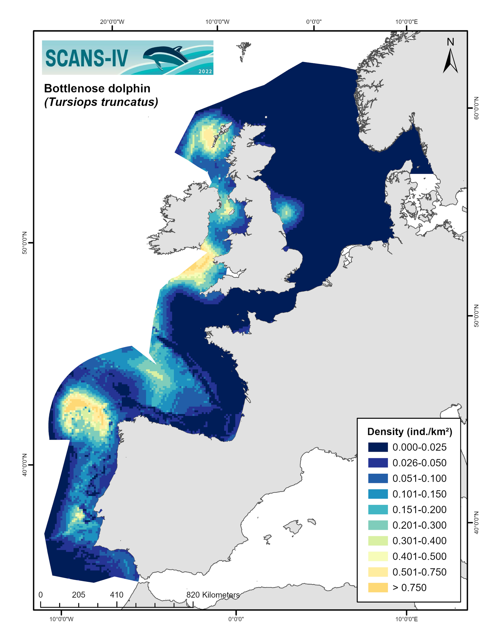 Modelled distribution map bottlenose dolphin