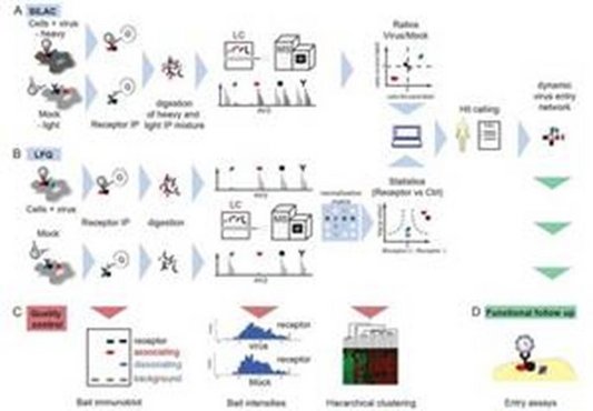Flussdiagramm der Projektplanung