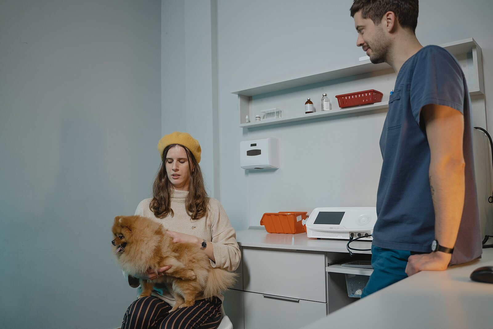 Sprechzimmer Tierarzt mit Hund