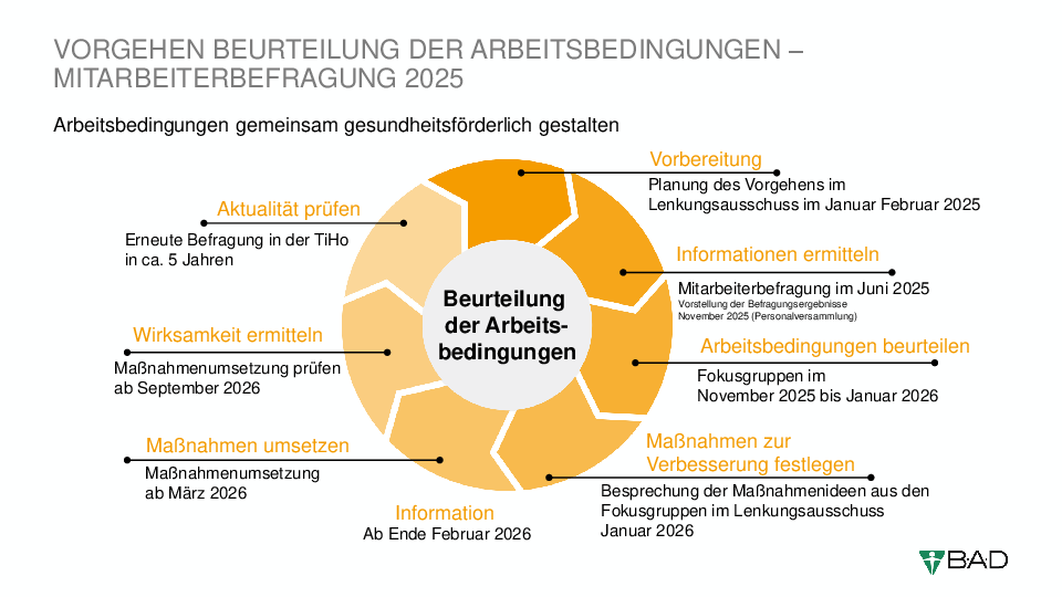 Zeitplan BAD Umfrage