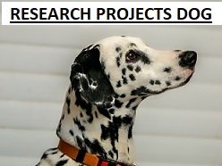 Research Projects Dog