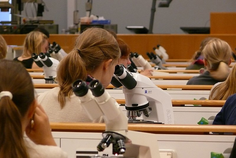 Kurs: Histologische Übung