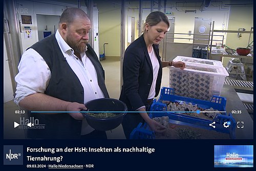 Wissenschaftler mit Insekten im Labor