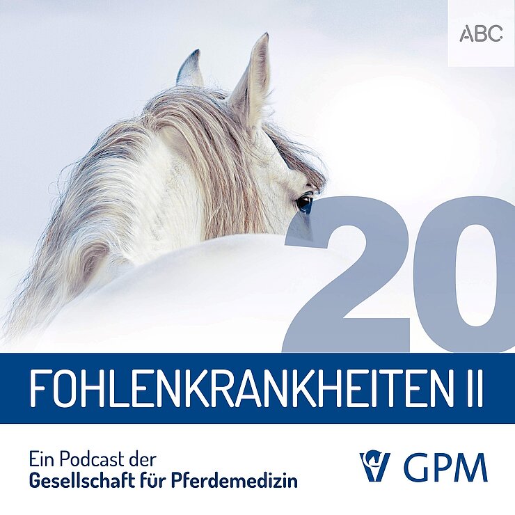 Grafik zum Podcast Fohlenkrankheiten