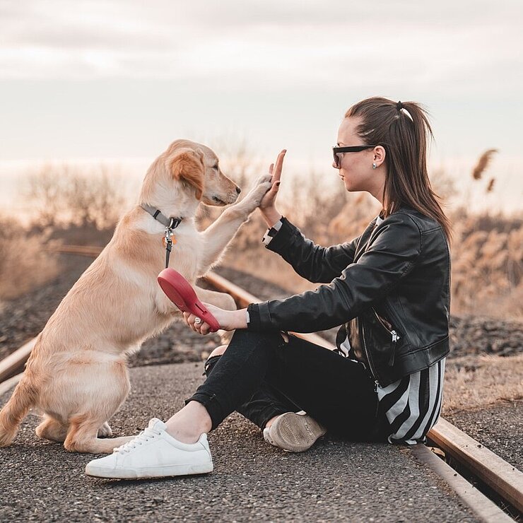 Hund und Frau auf Gleisen