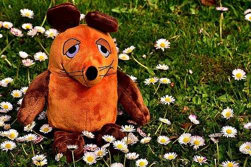 Maus als Plüschtier