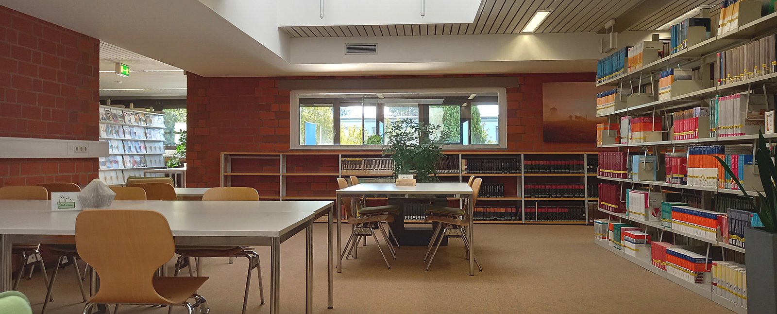 Lesesaal und Lehrbuchsammlung auf einem Foto; abgebildet sind Arbeitsplätze und Bücher mit Blick auf die Fensterfront.