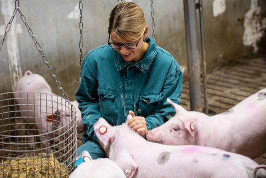 Foto: Prof. Dr. Nicole Kemper in einem Stall mit Schweinen