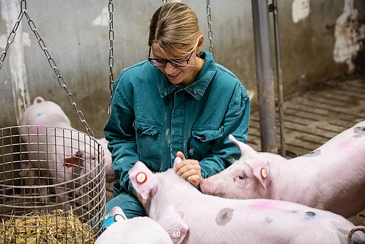 Foto: Prof. Dr. Nicole Kemper in einem Stall mit Schweinen