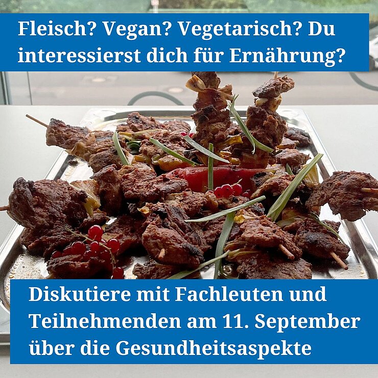 Grafik für den Beginn der Diskursreihe des Projektes WErnähR.