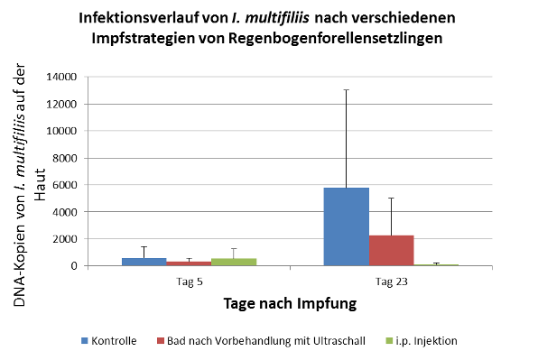 Grafik Impfung Ichthyo