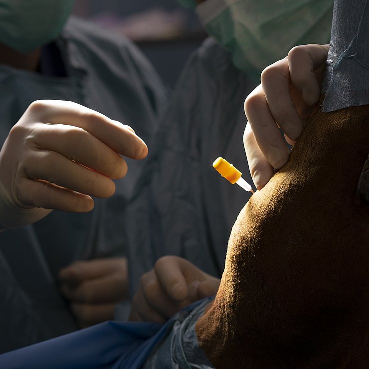 Durchführung einer Arthroskopie