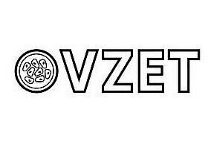 VZET Logo weisser Rand