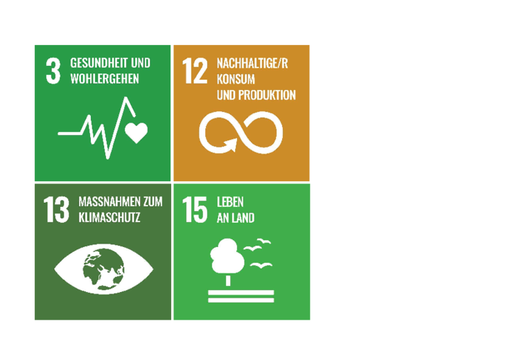 Icons SDG 3,12,13,15