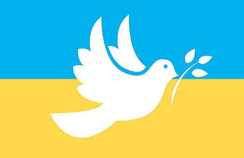Grafik mit weißer Friedenstaube vor der ukrainischen Fahne