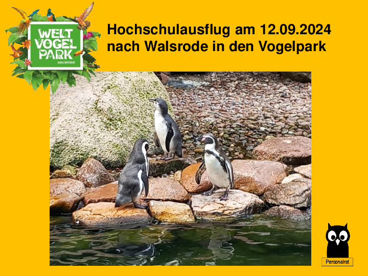 Bilder Hochschulausflug Walsrode 2024