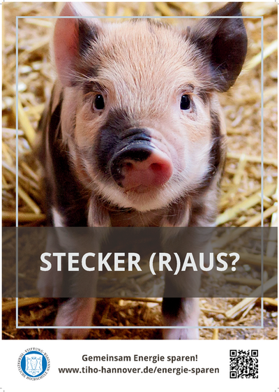 Poster zum Energie sparen: Stecker (r)aus?