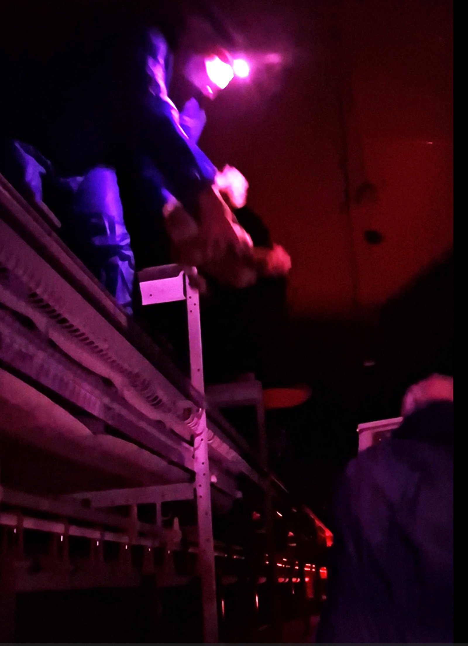 Foto Ausstallung Legehennen