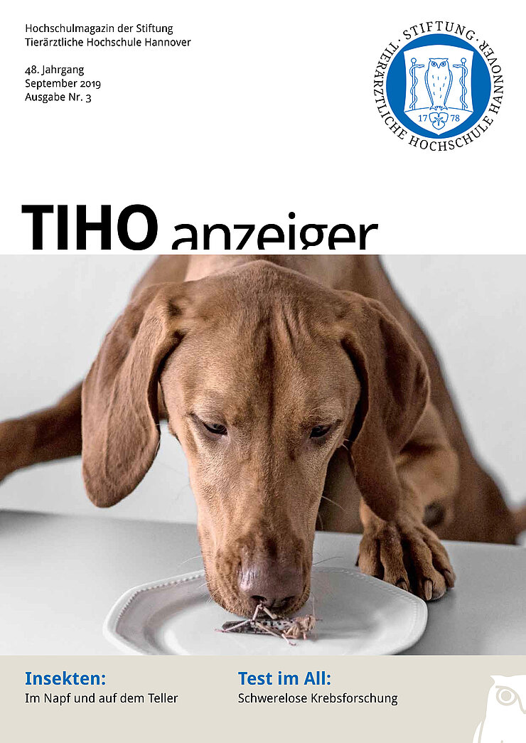 TiHo-Anzeiger 03/2019, Titelseite