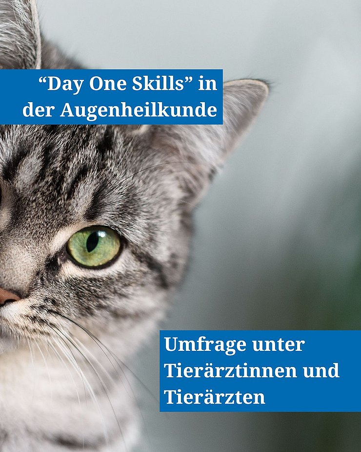 Instagram Umfrage Augenheilkunde