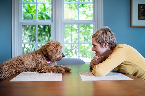 Eine Frau und ein kleiner, brauner Hund mit lockigem Fell sitzen sich an einem Tisch direkt gegenüber und schauen sich in die Augen.