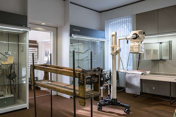 Blick in das veterinärmedizinhistorische Museum