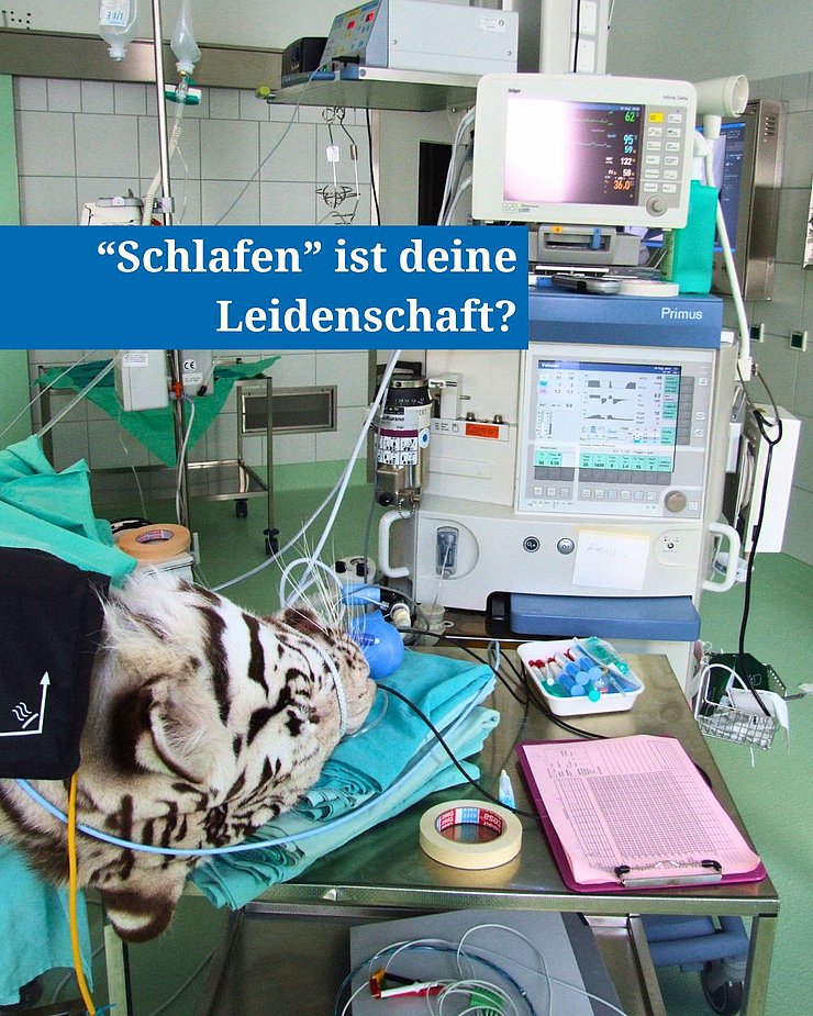 Angebot Residency